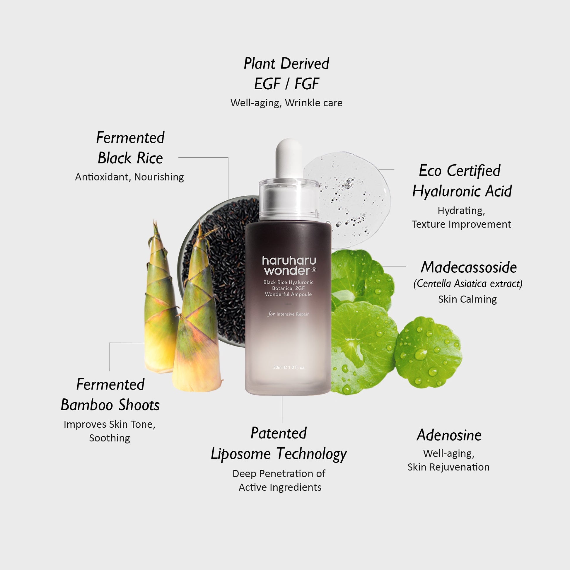 Plant-based EGF FGF fermented black rice hyaluronic acid and madecassoside ingredients