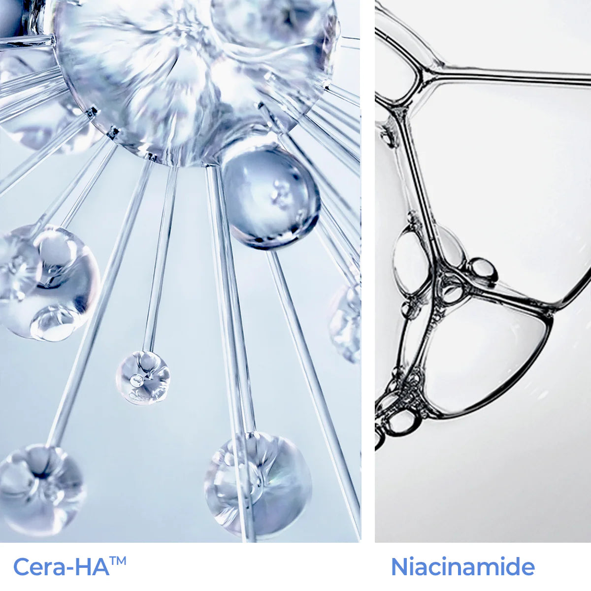 AESTURA Atobarrier 365 Hydro Cera-Ha Serum