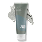 Isntree Real Mugwort Clay Mask