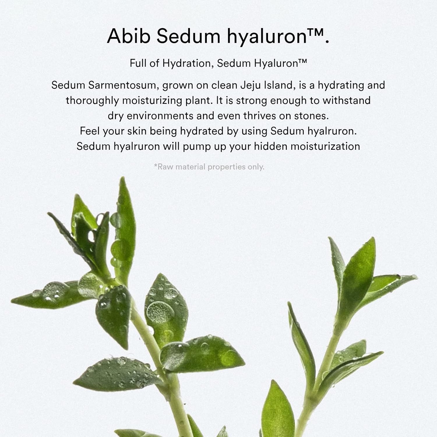 Abib Sedum hyaluron pad Hydrating touch