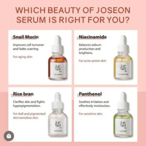 Beauty of Joseon Hanbang Serum Discovery Kit