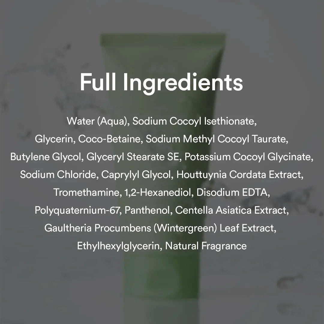 Abib Heartleaf Acne Foam Cleanser – Refreshes for Clean, Calm Skin