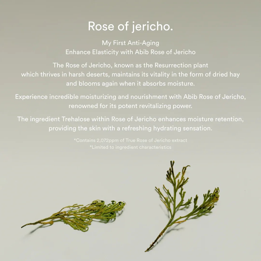 Abib Jericho Rose Bifida Serum Firming Drop – Probiotic Bifida Strengthens the Skin Barrier
