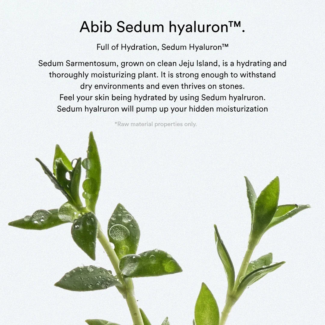 Abib Sedum Hyaluron Crème Hydrating Pot – Rich, Creamy Texture for Lasting Hydration
