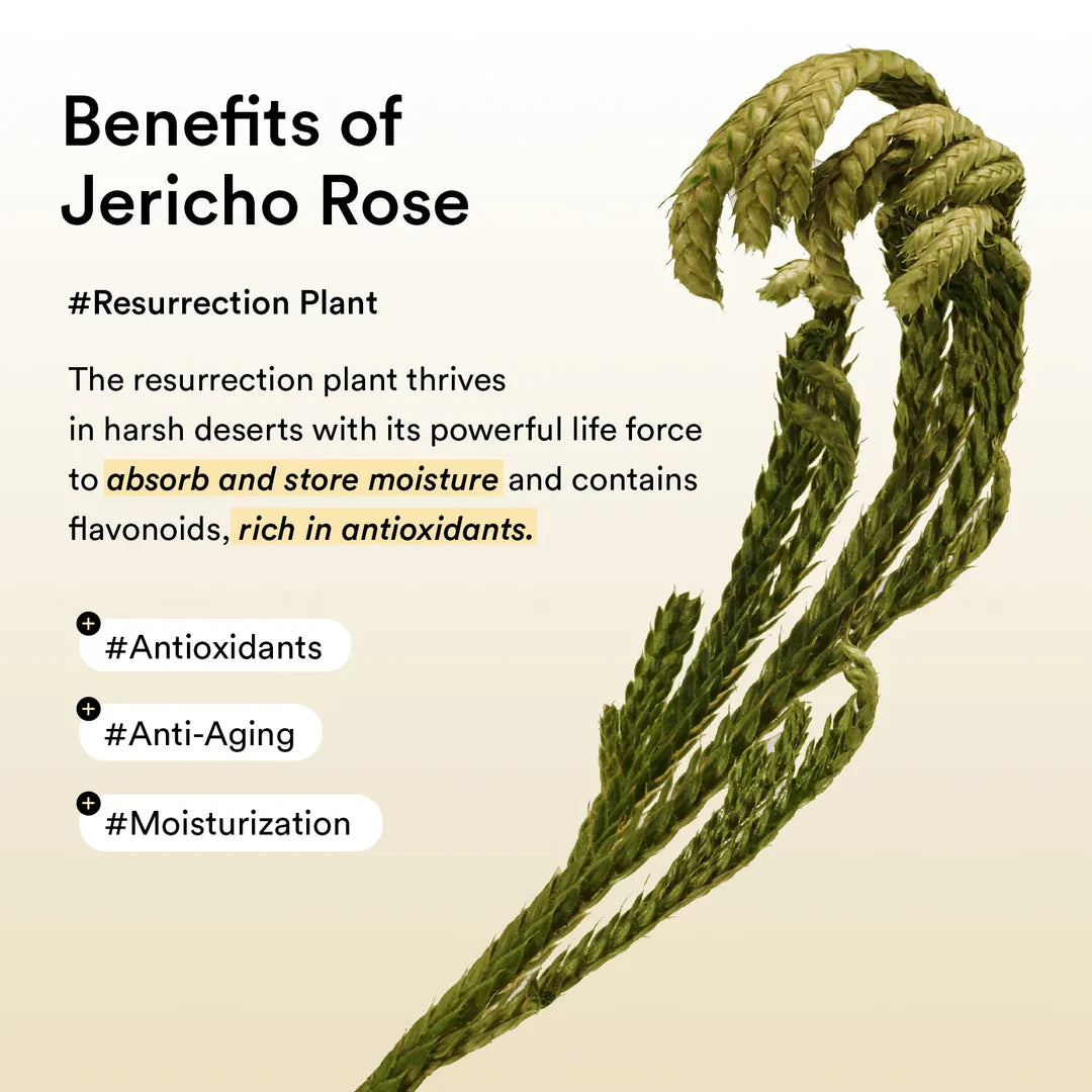 Abib Vegan Collagen Eye Patch Jericho Rose Jelly – Reduces the Look of Fine Lines