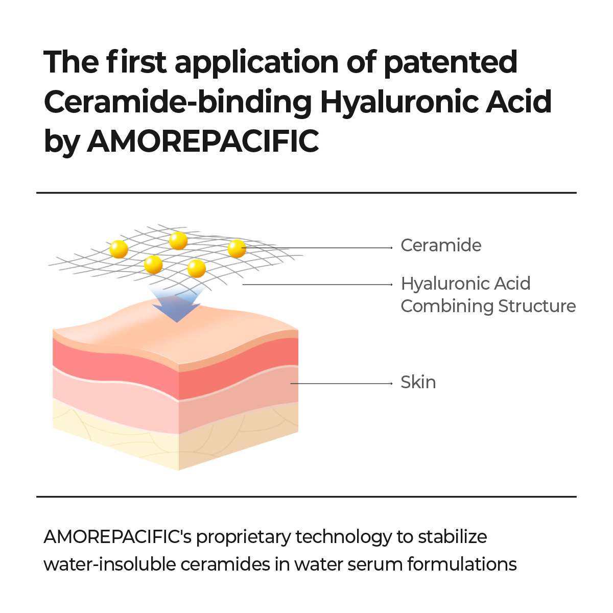 AESTURA Atobarrier 365 Hydro Cera-Ha Serum – Cera-HA technology