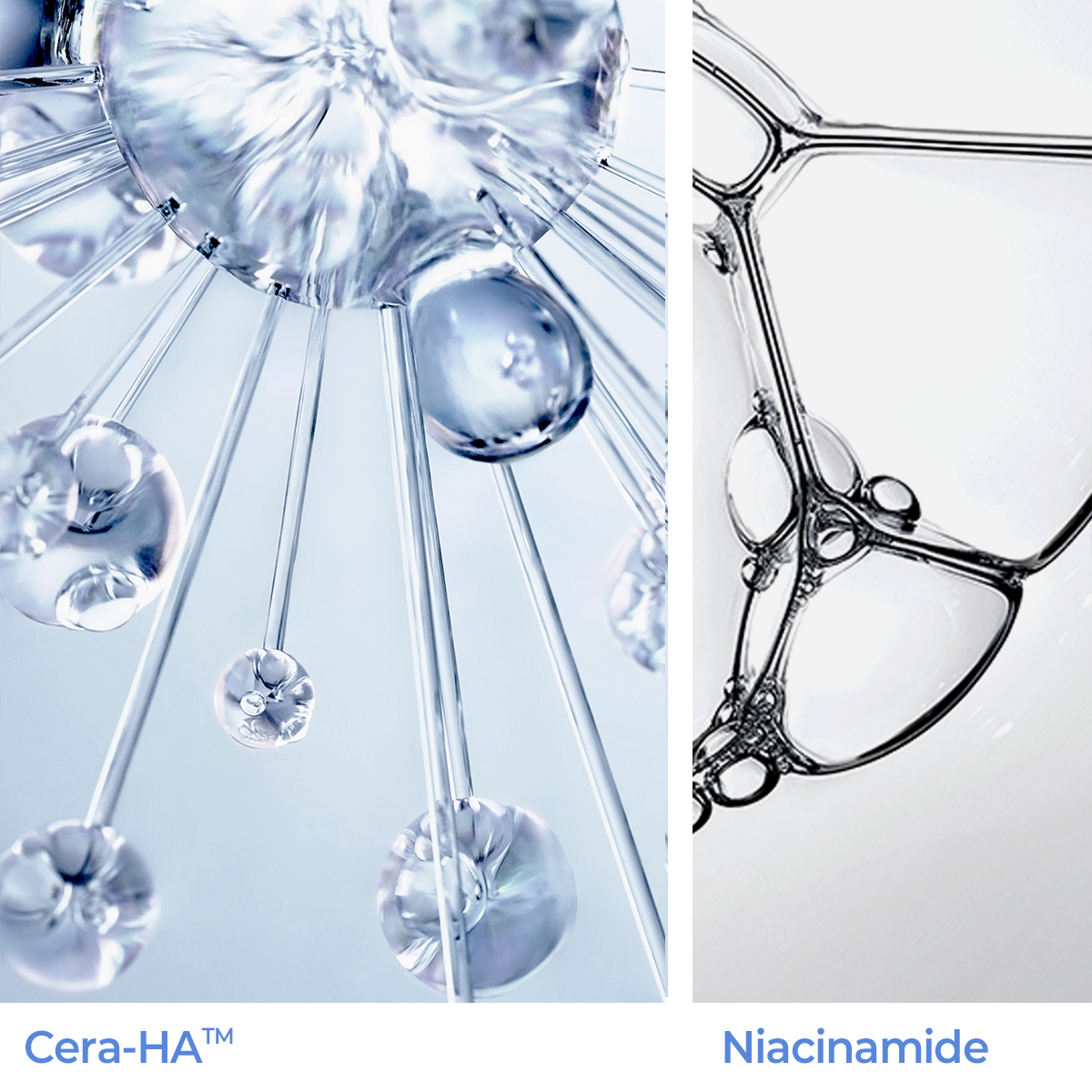 AESTURA Atobarrier 365 Hydro Cera-Ha Serum – watery-gel texture