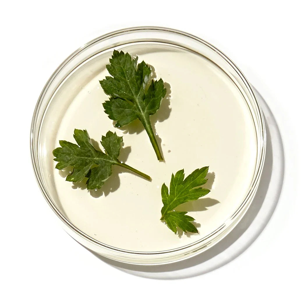 APRILSKIN Artemisia Korean Rice Toner preps skin for the next steps