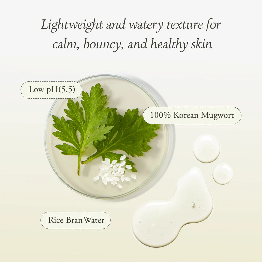 APRILSKIN Artemisia Korean Rice Toner rice extract for soft glowing skin