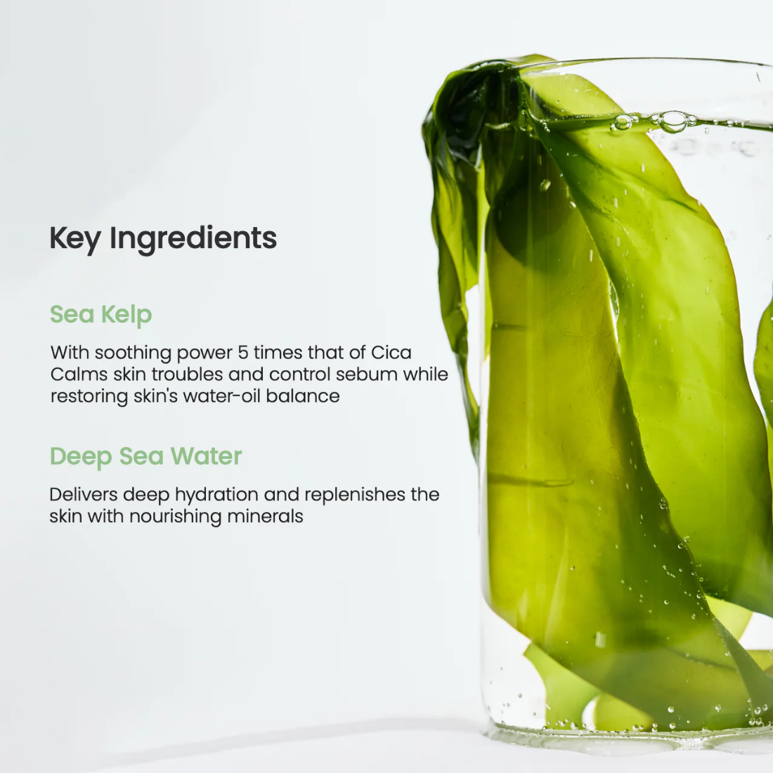 Biodance Refreshing Sea Kelp Real Deep Mask dewy refreshed finish