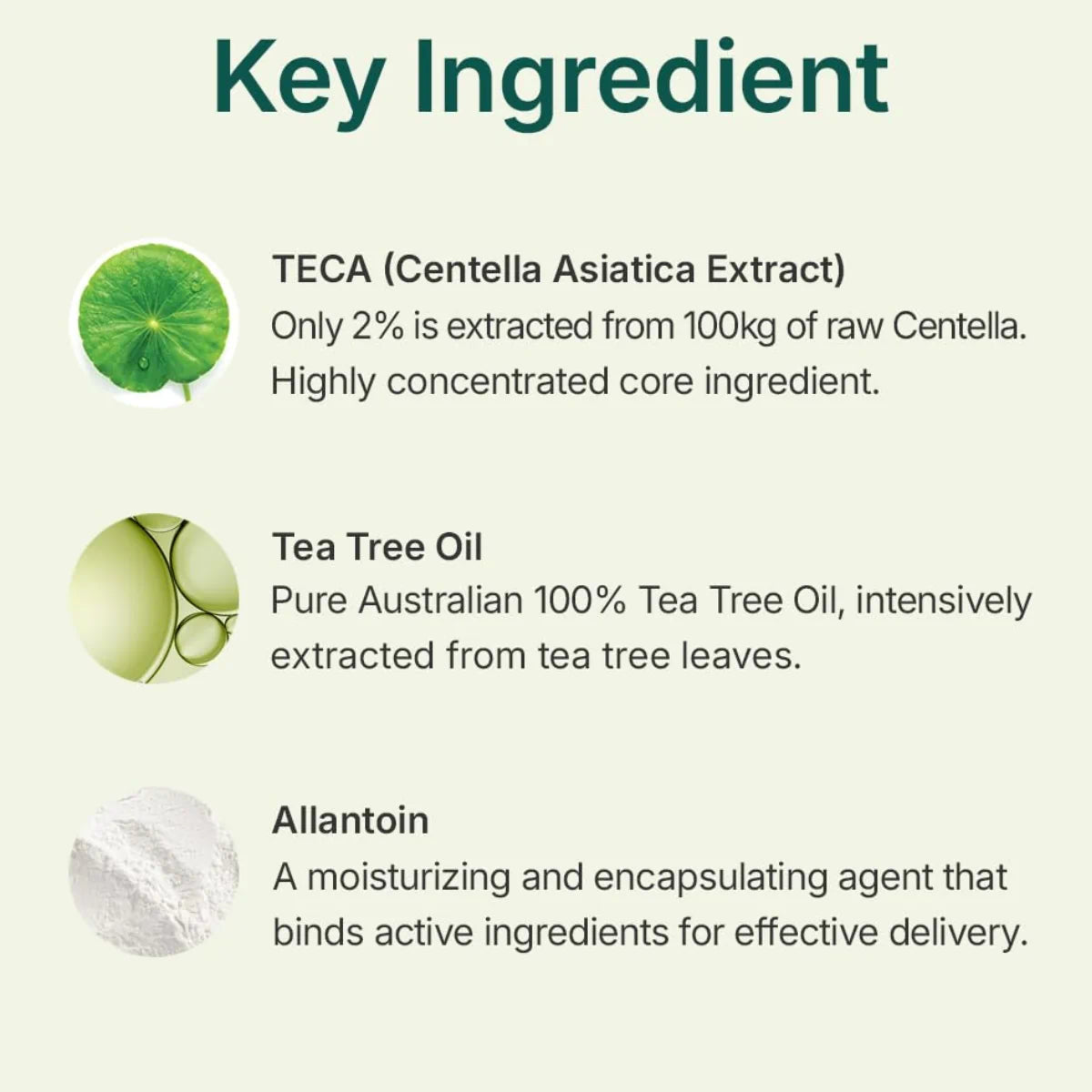 Centellian 24 Madeca Powder Teatree AC 6g spot powder details