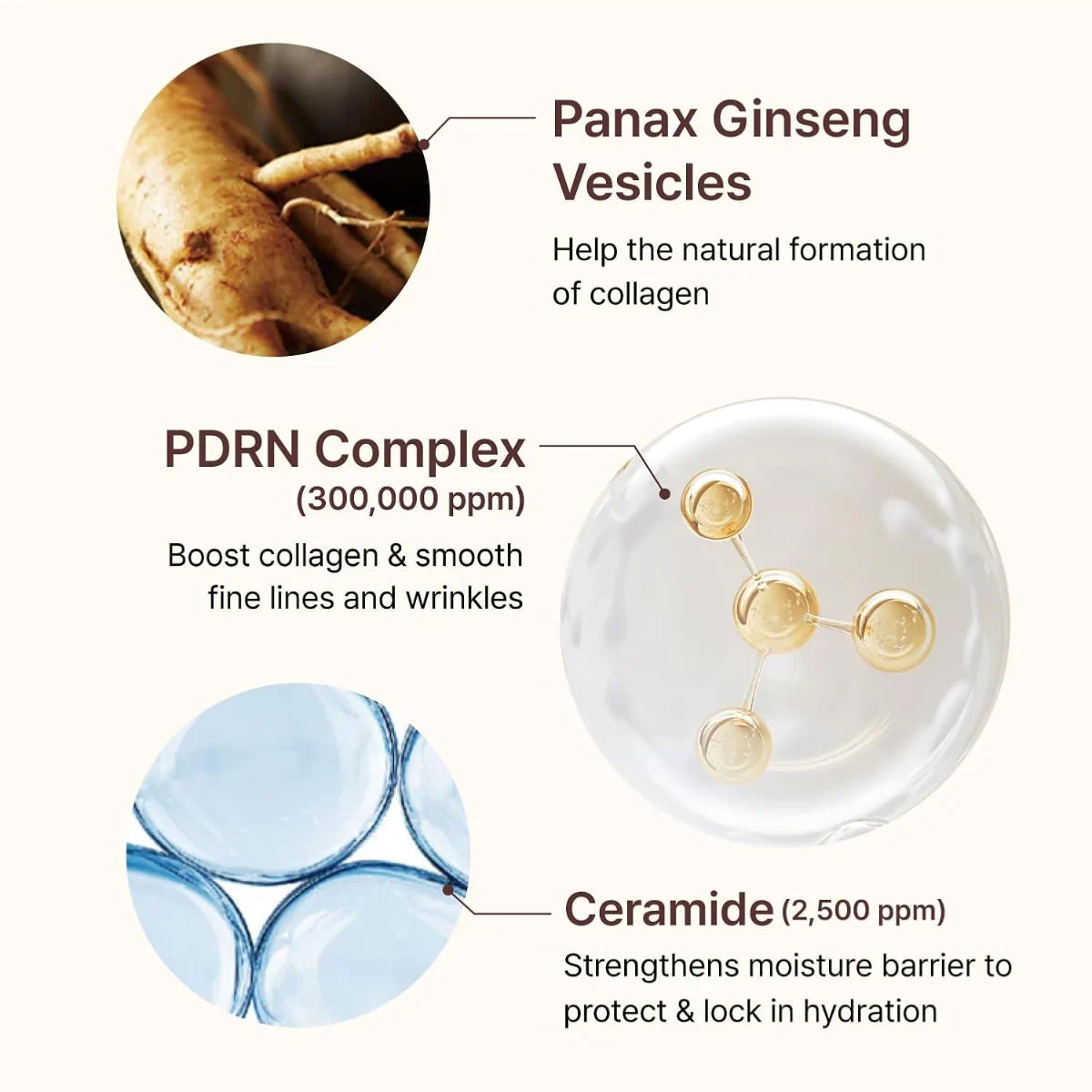 Apply Centellian 24 PDRN Firming Boosting Ampoule after toner and before moisturiser