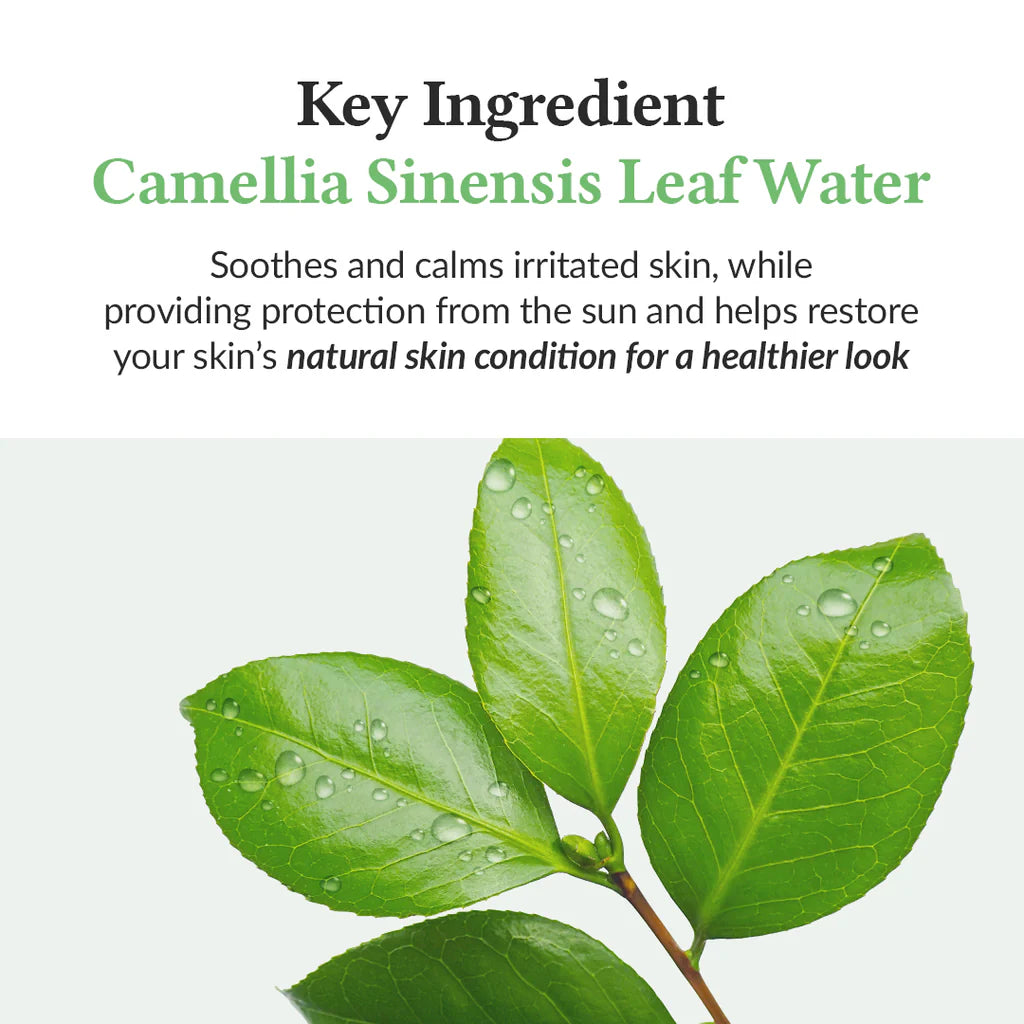 Dr. Althea Green Tea Fresh Sunscreen — no white cast formula