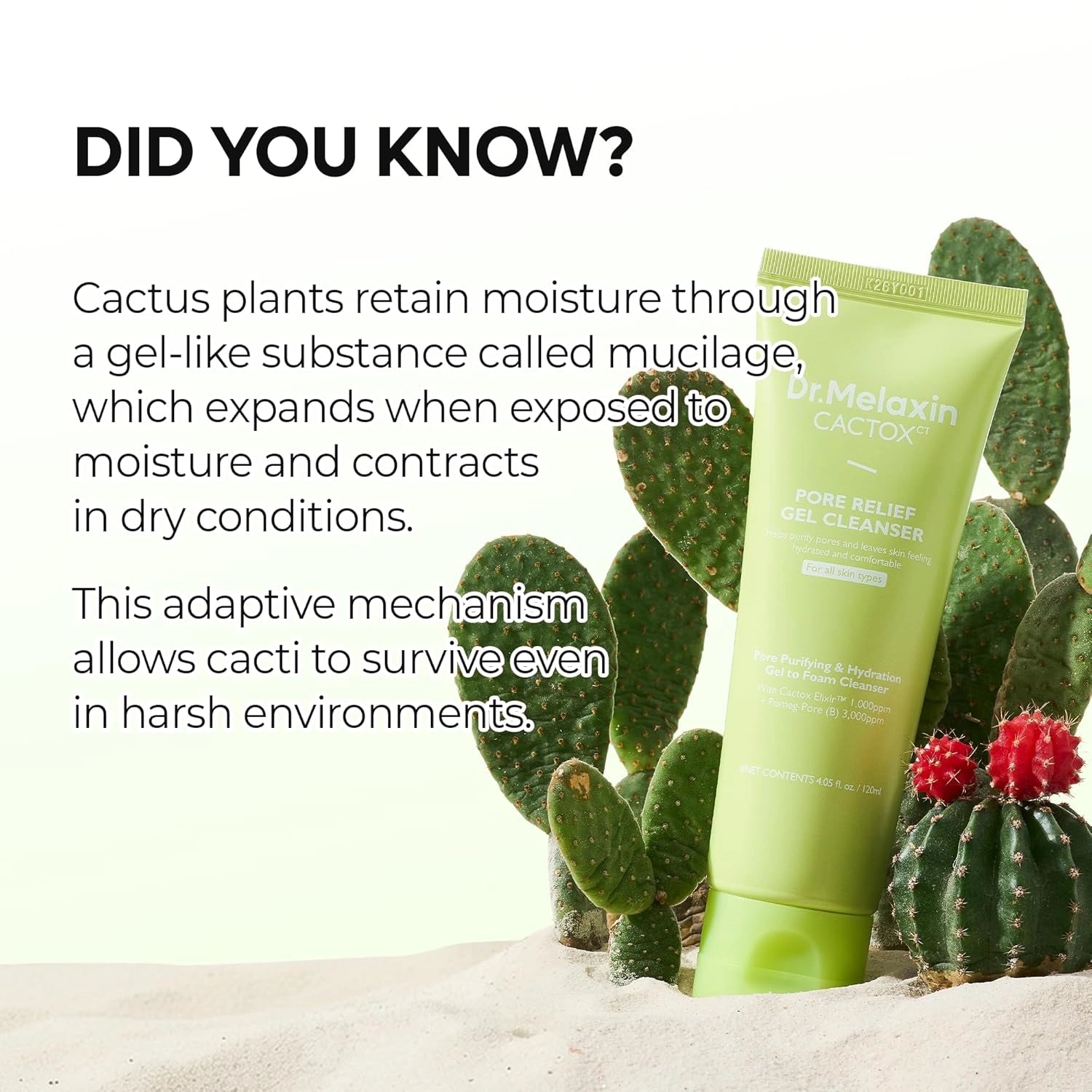 Dr.Melaxin Cactox Pore Relief Gel Cleanser — cactus extract formula