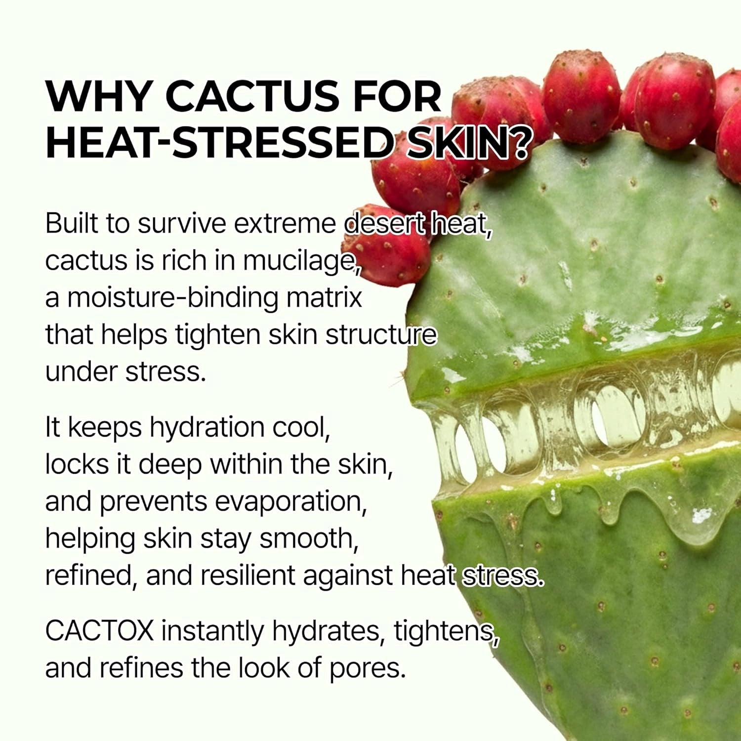 Dr.Melaxin Cactox Pore Relief Jelly Serum Mist — how to use