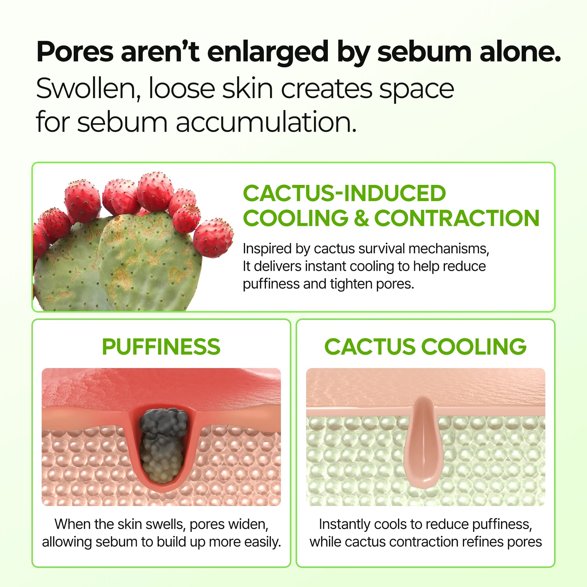 Dr.Melaxin Cactox Pore Relief Multi Balm — how to use
