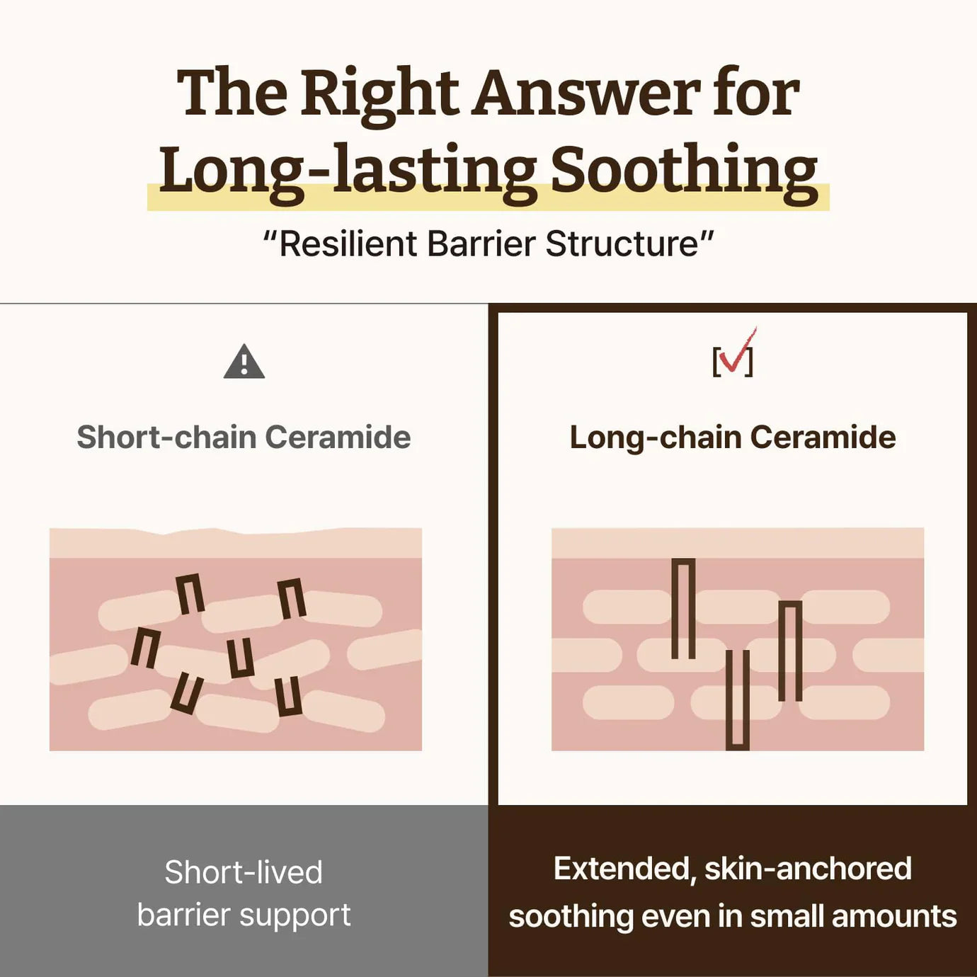 Dr.Reju-All Advanced LC Ceramide Barrier Cream soothes sensitive skin