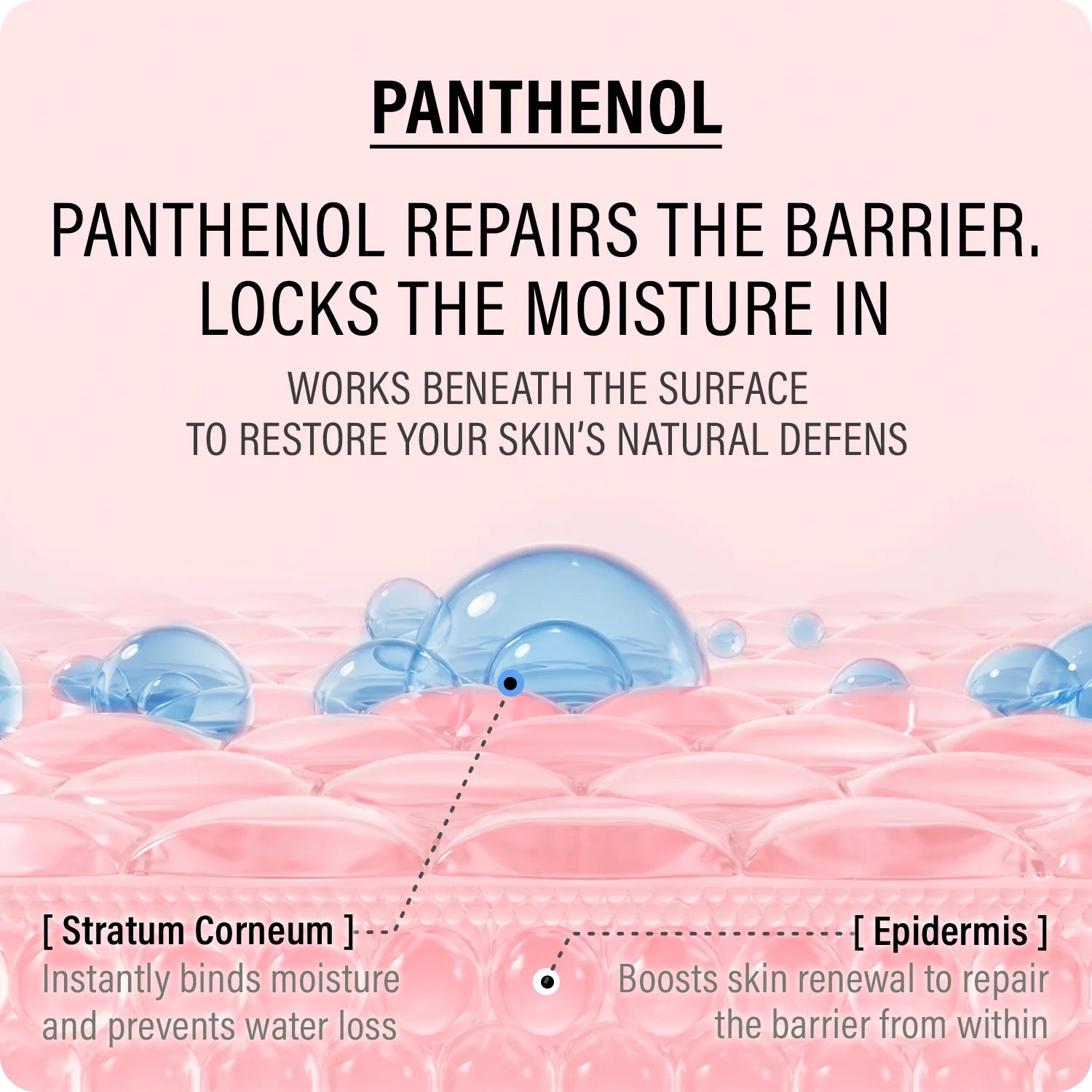 epii Double Up Cream Ectoin & Panthenol – deep hydration