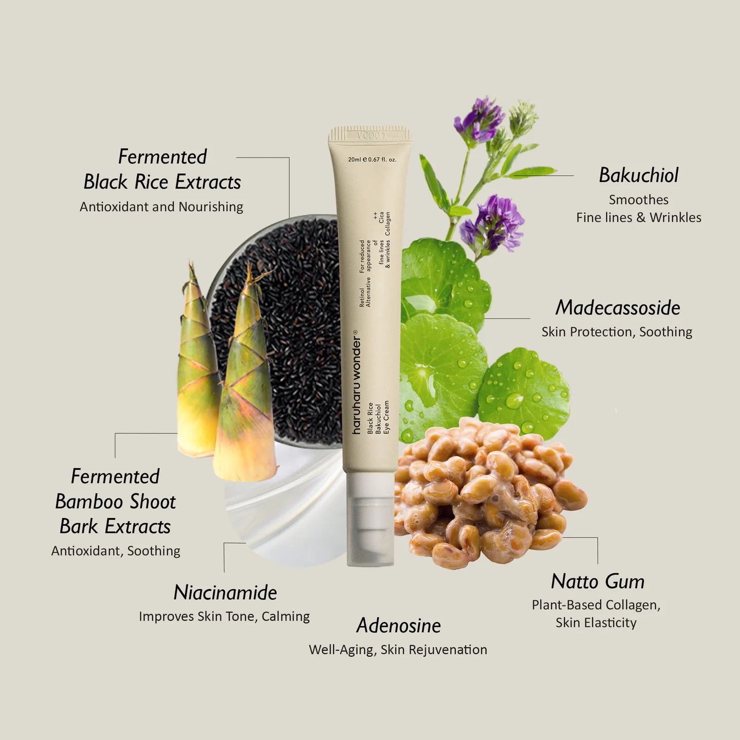 haruharu wonder Black Rice Bakuchiol Eye Cream 20ml — Korean firming eye cream