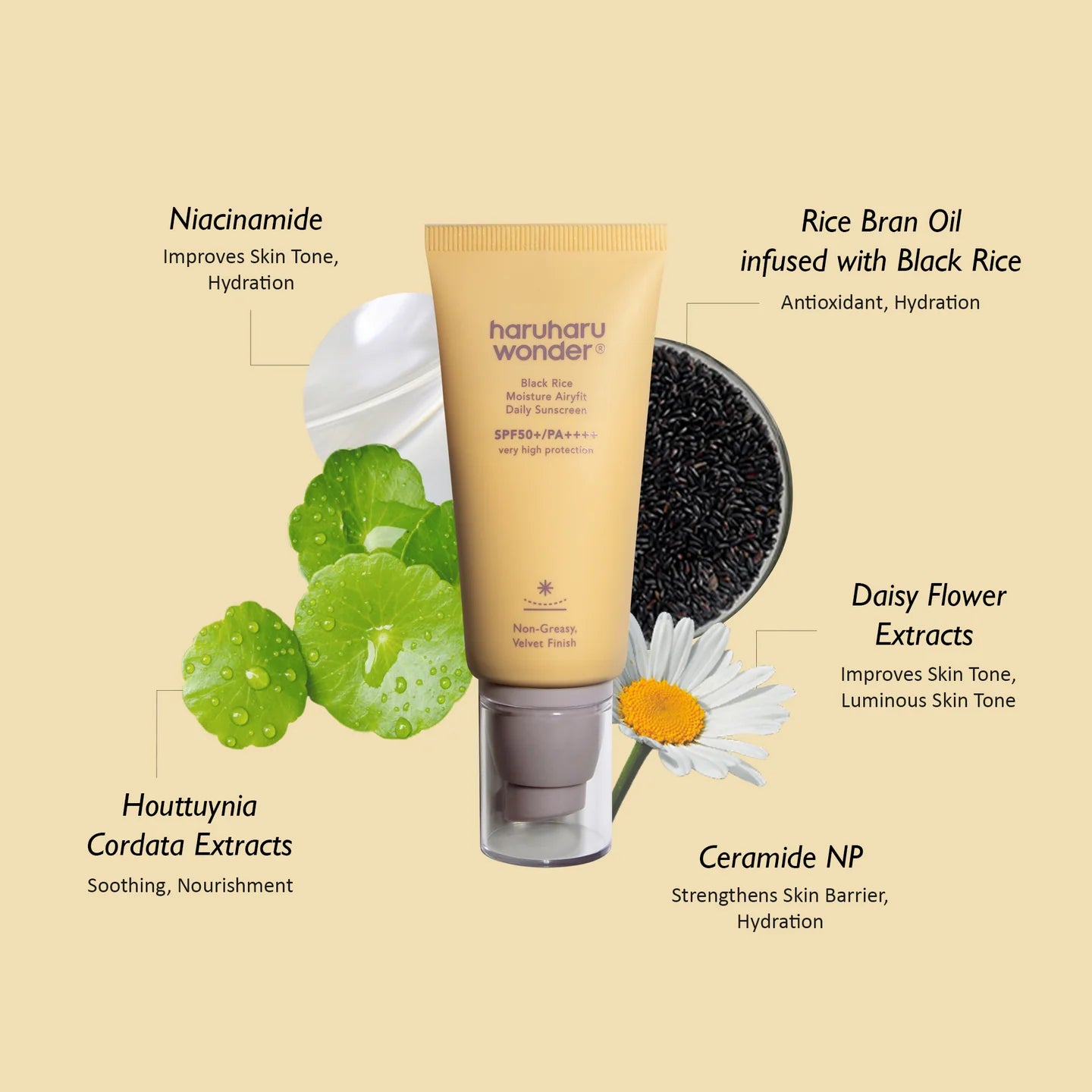 haruharu wonder Black Rice Moisture Airyfit Daily Sunscreen SPF50+ 50ml — Korean daily sunscreen