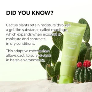 Dr.Melaxin Cactox Pore Relief Gel Cleanser