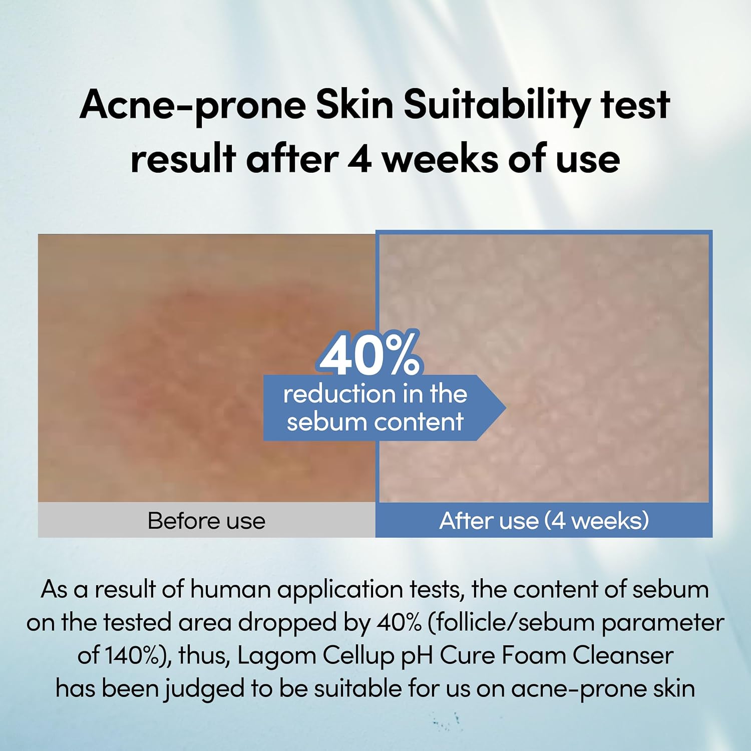 LAGOM Cellup pH Cure Foam Cleanser key ingredients and skin benefits