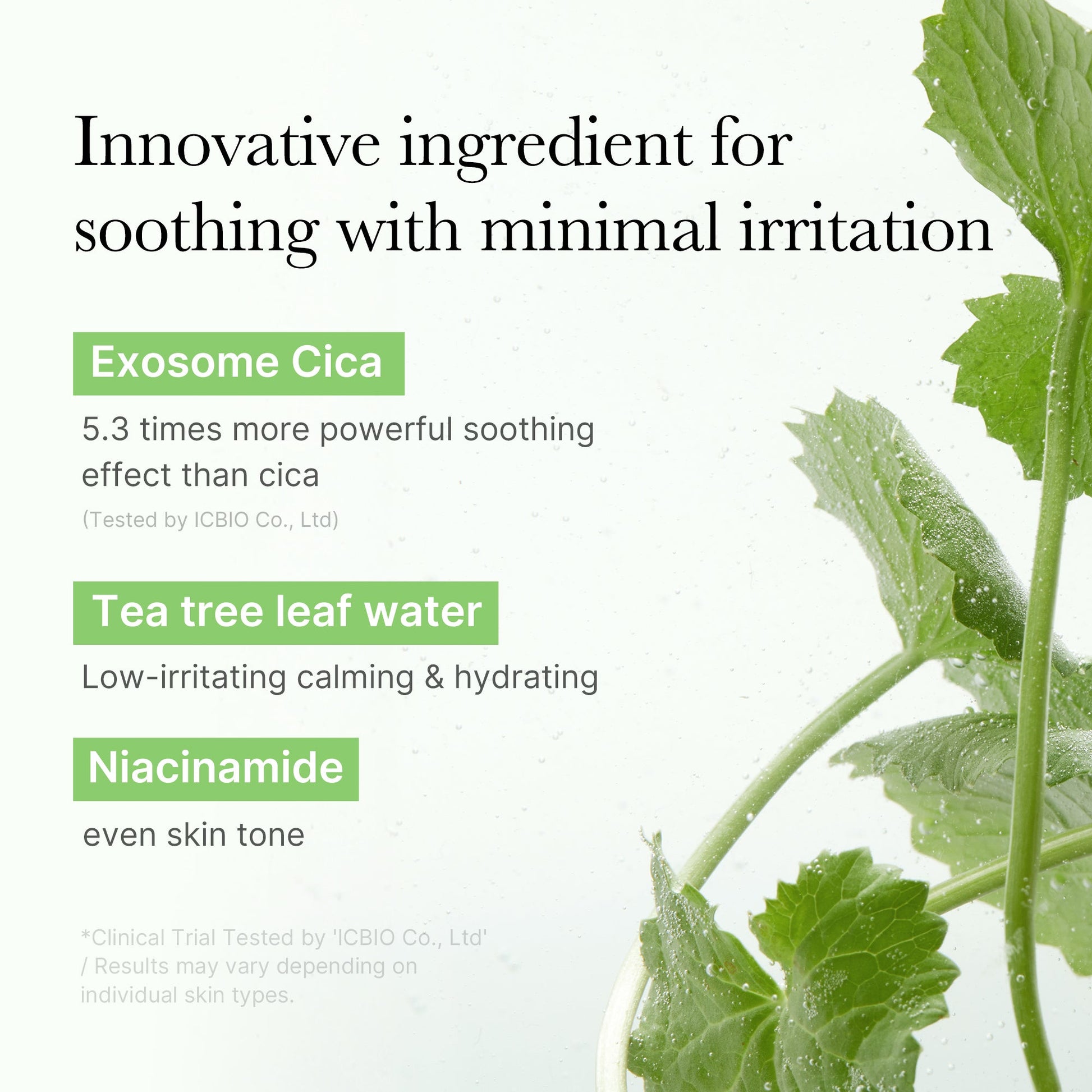 Nano-sized exosome cica that soothes 5.3 times more powerfully than regular cica
