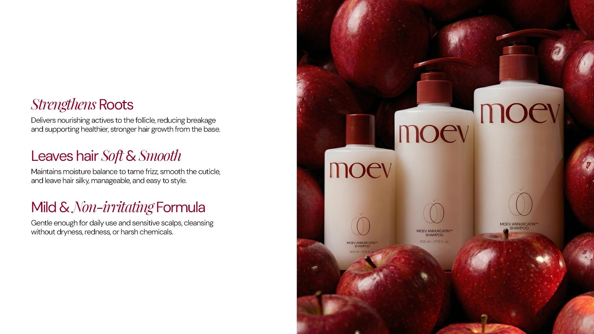 Moev Annurcatin Shampoo benefits for scalp and hair