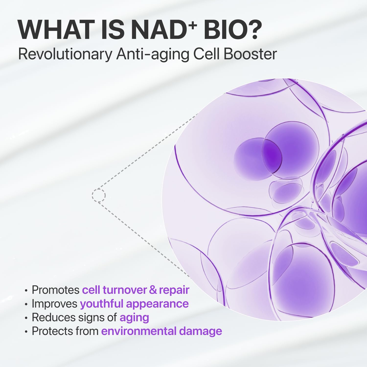 Numbuzin No.9 NAD Bio Lifting Essence — lightweight essence absorbs quickly