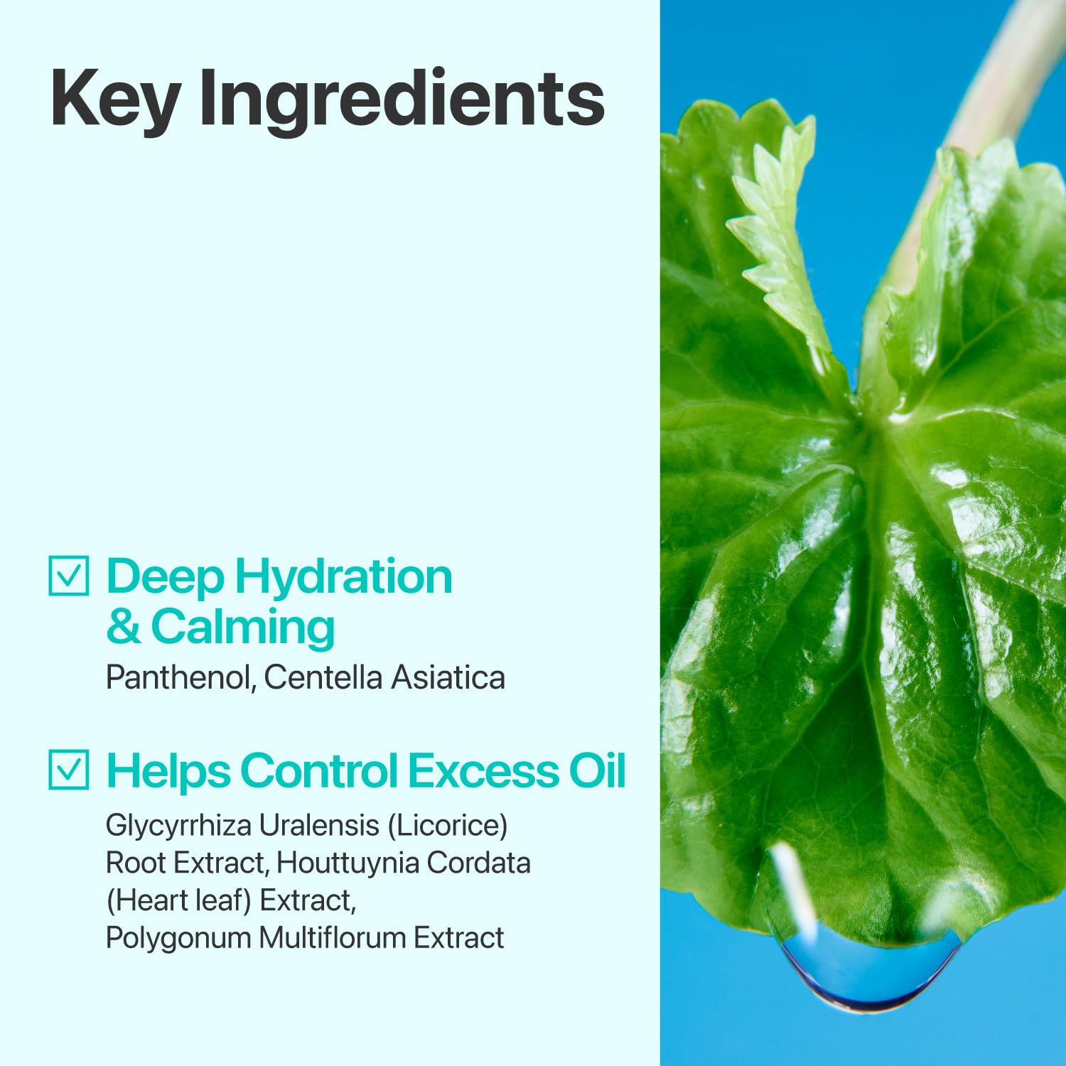 Numbuzin Pure-Full Calming Herb Toner — preps skin to absorb the next steps