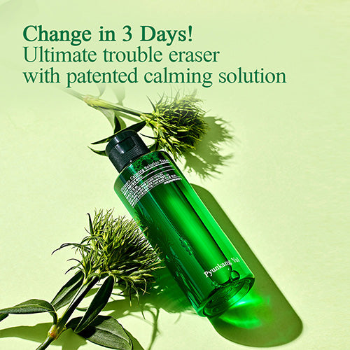 Pyunkang Yul Ultimate Calming Solution Toner – soothing toner for sensitive skin