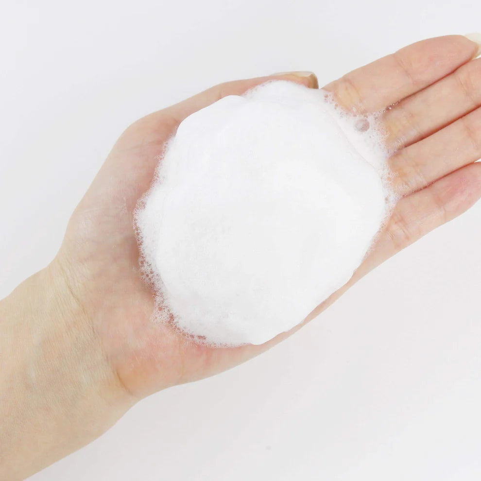 Round Lab 1025 Dokdo Cleanser – washes away impurities