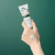 Round Lab Pine Calming Cica Cream – calming moisture for sensitive skin