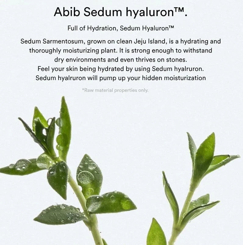 Abib Sedum Hyaluron Crème Hydrating Pot