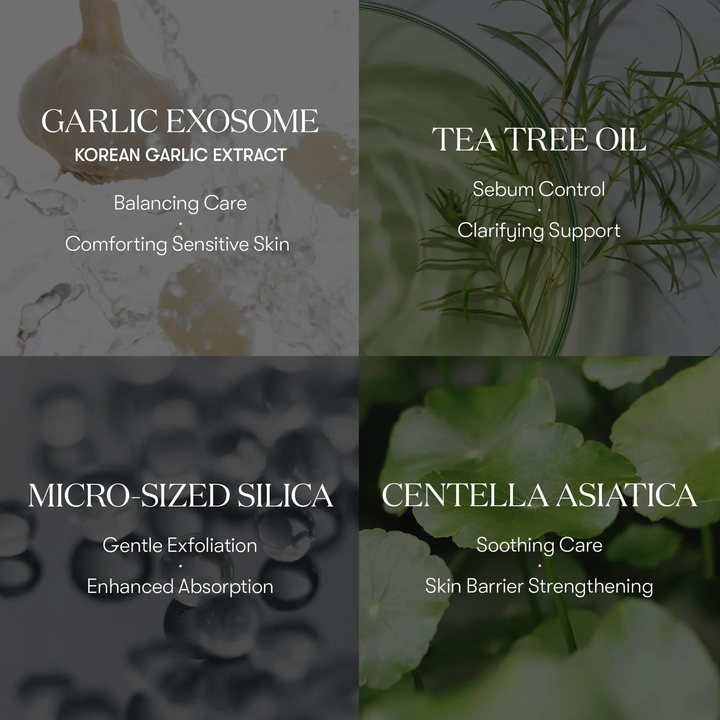 VT Cosmetics Garlic AC Reedle Shot Spot Cream — garlic AC complex