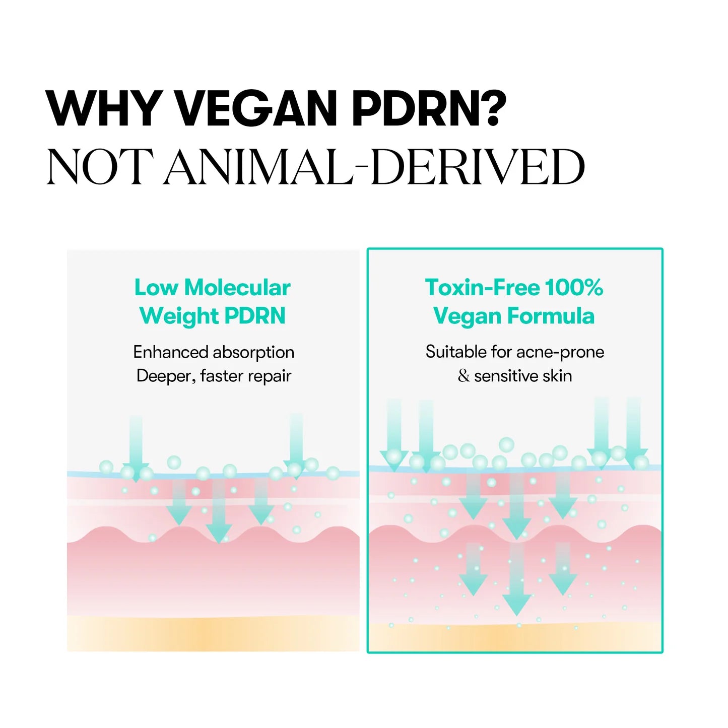VT Cosmetics PDRN Capsule Cream — application