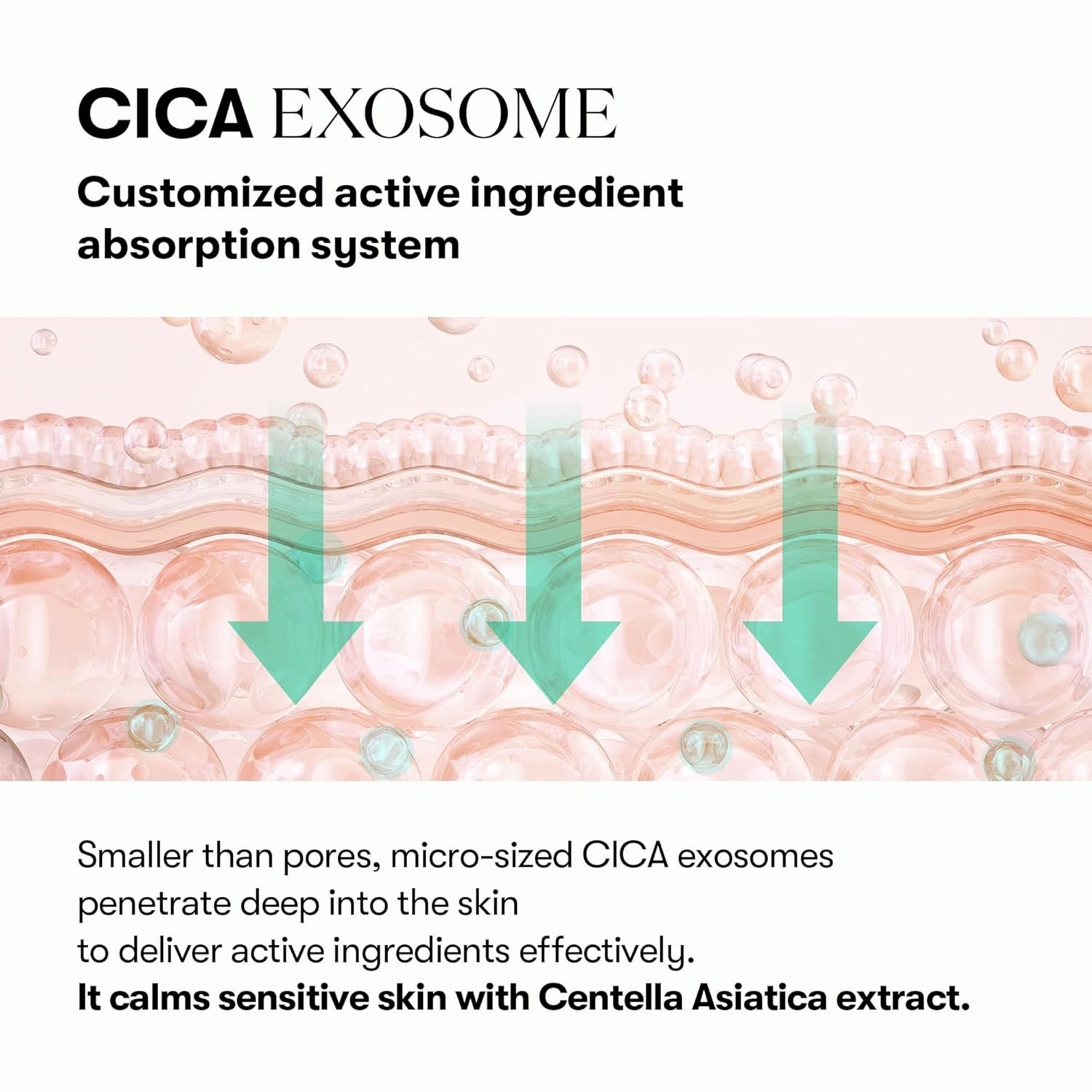 VT Cosmetics PDRN Cica Exosome Ampoule — how to use