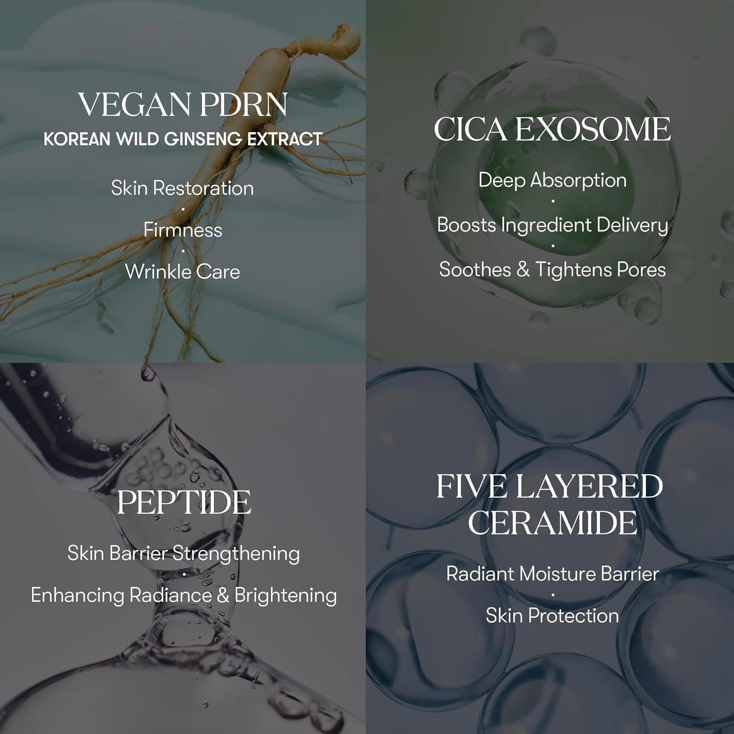 VT Cosmetics PDRN Cica Exosome Ampoule — exosome complex