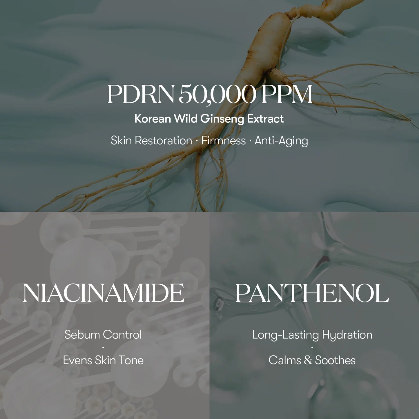 VT Cosmetics PDRN Toner — PDRN complex
