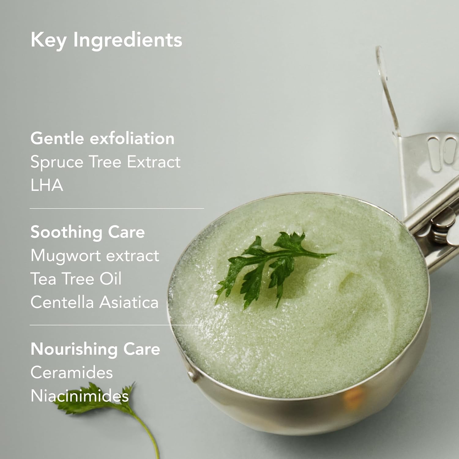 WHIPPED Mugtree Vegan Pack Scrub key ingredients and skin benefits